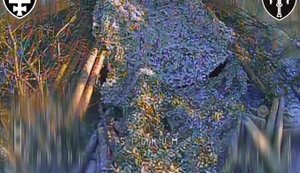 Мінус САУ "Нона" та РСЗВ "Град" окупантів: бойова робота бійців батальйону "SIGNUM". ВIДЕО