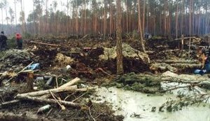 Цена на участок с янтарем на аукционе Госгеонедр выросла в 63 раза