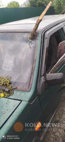 Ливень со шквальным ветром накрыл Полтаву вечером 6 августа 04