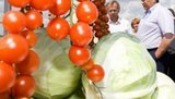 Януковичу дали покататься на тракторе и посмотреть на "модифицированных" гигантов. ФОТОрепортаж