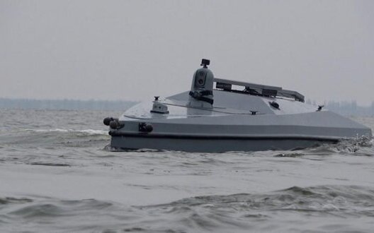 Ukrainian naval drone eliminated group of elite Russian divers in Novorossiysk - DIU