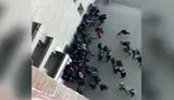 драка левандовка