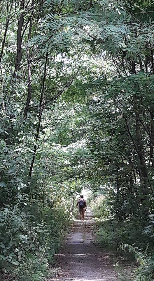 голый дорогожичи