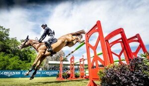 спорт,кінний,коні