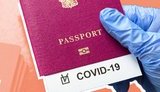 Ukraine, Georgia may agree on mutual recognition of documents on COVID-19 vaccination – PM