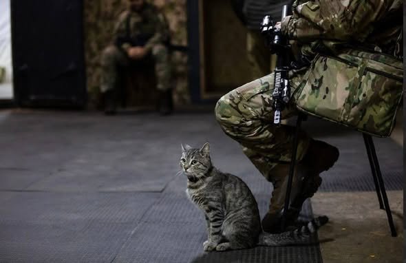 Сирський на передовій у Покровську — про БпЛА, артилерію та нові нагороди