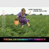 Источник вдохновения