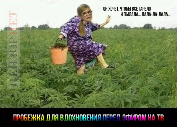 Натобандерівська провокація, політика Шапокляк, перемога над кремлівським наглядачем. Свіжі ФОТОжаби від Цензор.НЕТ 02