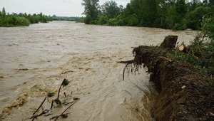 В ближайшие три дня на западе Украины ожидается высокий дождевой паводок, - ГСЧС