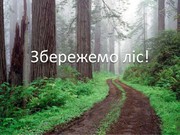 Збережемо ліс від тотальної вирубки