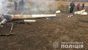 Бывший министр аграрной политики Кутовой погиб в авиакатастрофе