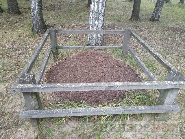 Цензор.НЕТ Изображение