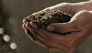 Уряд затвердив нові правила використання земель під торфовищами: що змінилося?