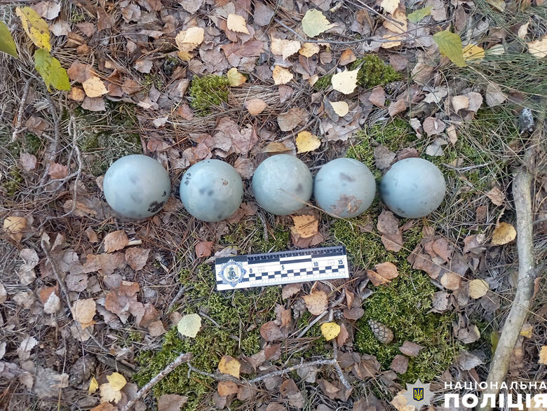 Уламки ракети Х-59 з касетною бойовою частиною