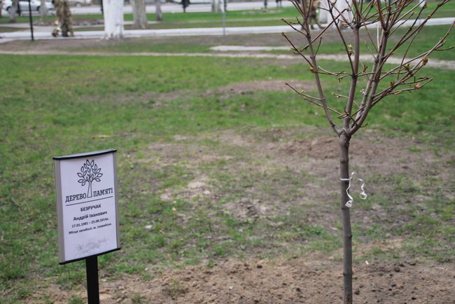 Мемориальную доску погибшему под Иловайском офицеру 28-й ОМБр Безручаку открыли в Киеве 06