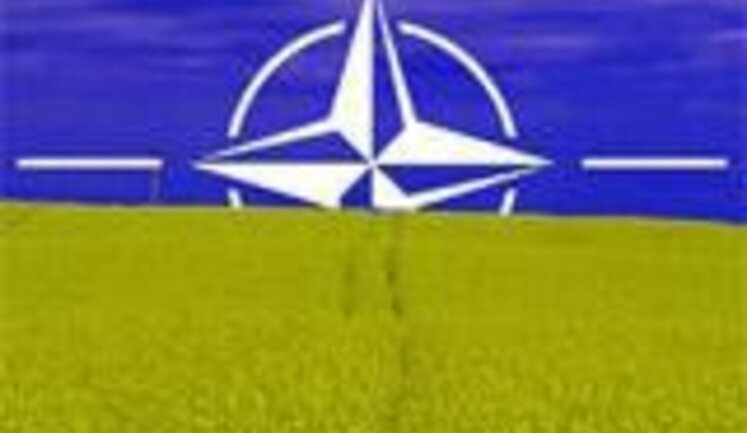 НАТО не намерено оказывать Украине военную помощь и помогать ей в обеспечении территориальной целостности