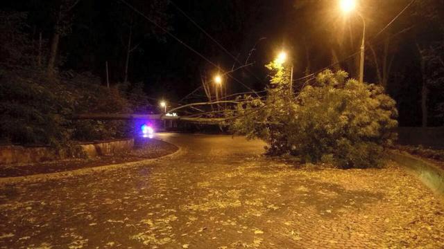 Toppled trees and damaged cars: State Emergency Service liquidating storm aftermath in Lviv and region 09