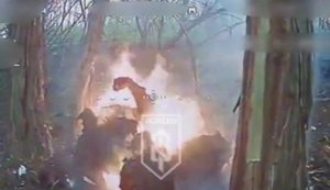 Оккупант, охваченный мощным пламенем, горит в перелеске под наблюдением украинского дрона. ВИДЕО 18+