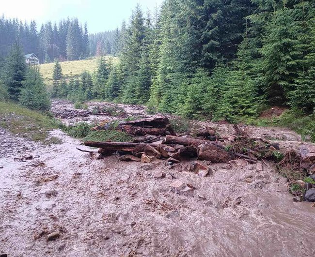 Два селеві потоки зійшли на Закарпатті 06