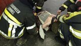 Пасажир потрапив під потяг на станції "Палац "Україна", - Київський метрополітен (оновлено). ФОТОрепортаж