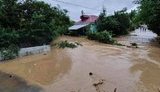 Негода в окупованому Криму: жінка загинула в потоці води. ВIДЕО