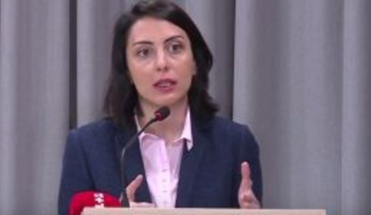 Inefficient legislation makes Ukraine heaven for wise guys, - Dekanoidze