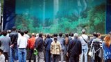 В торговом центре лопнул аквариум с акулами. ФОТОрепортаж