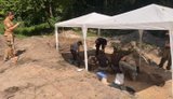 ексгумація на Волині