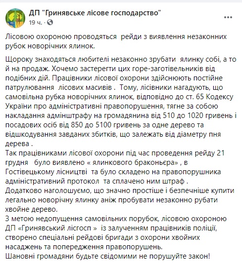 В Карпатах созданы спецбригады для охраны хвойных деревьев от браконьеров 01 В Карпатах созданы спецбригады для охраны хвойных деревьев от браконьеров 01