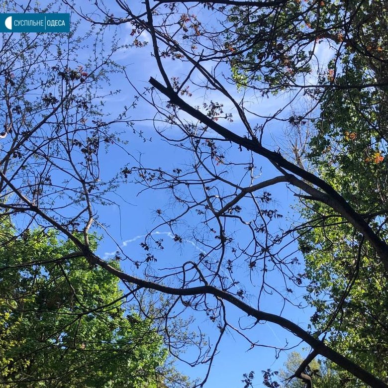 Russian occupiers fired on Odesa again 02