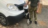 На КПВВ "Новотроицкое" пограничники задержали наркокурьера из оккупированного Донецка. ФОТОрепортаж