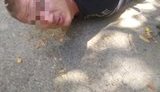 Large-scale raid on illegal arms dealers: two suspects apprehended in 50 searches all over Ukraine. PHOTOS