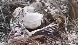 тіло окупанта валяється присипане снігом