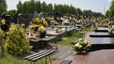 Поминальні дні в Києві за погодженням із релігійними організаціями перенесено на 6 червня, - начальник управління з НС КМДА Ткачук