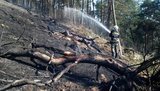 Сильный пожар в Национальном природном парке на Тернопольщине. ФОТОрепортаж