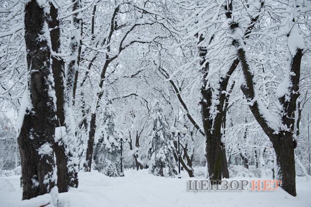 Цензор.НЕТ Изображение