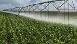 Кабмін затвердив п’ятирічний план розвитку зрошування вартістю 29 мільярдів
