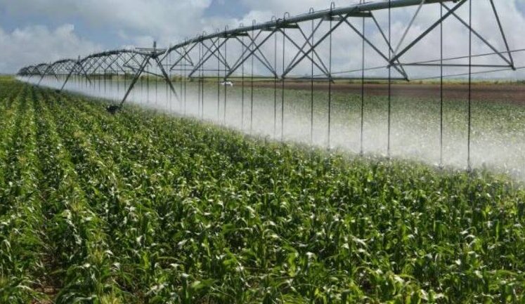 Новий етап реформи зрошення: Рада ухвалила закон про операторів меліоративних систем