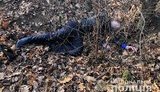 Житель Львовщины заказал убийство руководителя адвокатского бюро за 7 тысяч долларов, - Нацполиция. ВИДЕО+ФОТОрепортаж