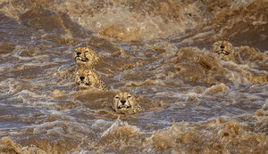 вода