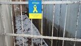 донецьк,жовта,стрічка