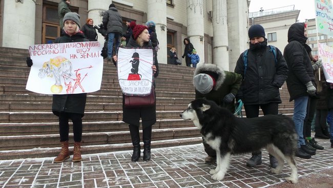 Страждання - це НЕ смішно! У Києві протестували проти використання тварин у цирку 16