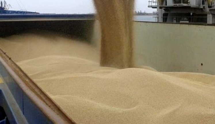 Russians stole almost 900 tons of grain from Starobilsk elevator