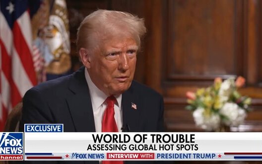 Trump comments on transfer of rare earth materials to US
