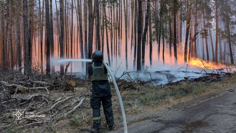 Ліквідовано масштабну пожежу в парку Святі гори на Донеччині