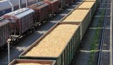 Україна збільшує перевезення зерна залізницею: Польща та Словаччина нарощують пропускну здатність