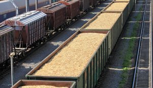 Україна збільшує перевезення зерна залізницею: Польща та Словаччина нарощують пропускну здатність