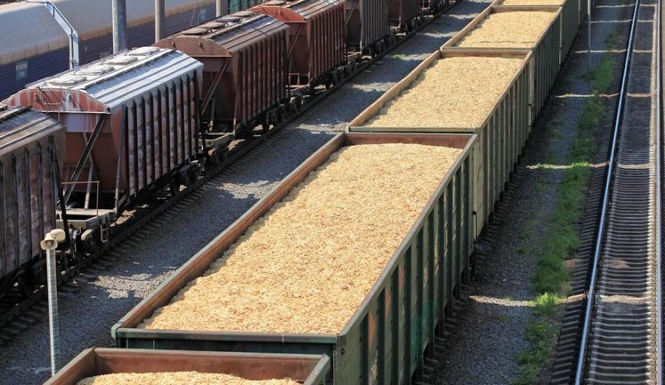 Україна збільшує перевезення зерна залізницею: Польща та Словаччина нарощують пропускну здатність