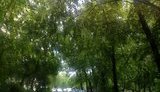 мусор
