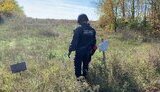 сапер,дснс,розмінування